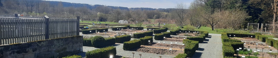 header_gruenes_klassenzimmer