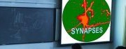 Synapses